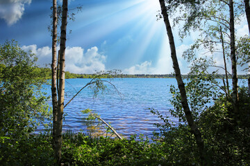 Obraz premium Beautiful idyllic dutch morning lake scenery landscape, forest trees, sun rays - Maasduinen NP, Netherlands
