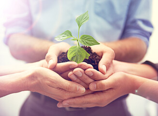 Working together towards a greener tomorrow. A cropped image of a hands holding a plant growing in...