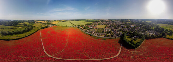 A 360 degree aerial view of poppies in bloom in a field near Ipswich, UK