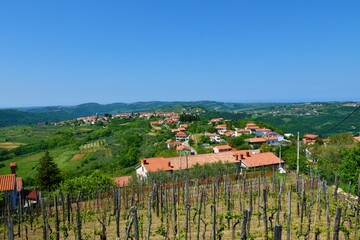 Smarje village in the hills of Slovenian Istria in municipality of Koper