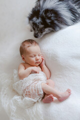 Sleeping newborn baby girl with a dog - 511559647