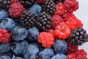 Various berries harvested (blueberry, blackberry, raspberry)