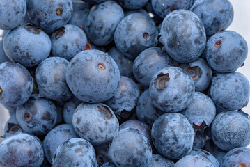 A lot of harvested blueberry fruits