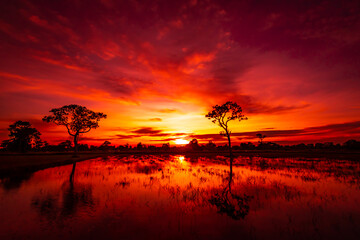 Fototapeta na wymiar amazing sunset and sunrise, The most beautiful nature.