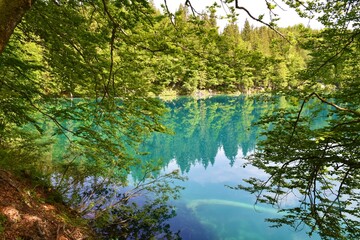 Obraz premium Shore of the Laghi di Fusine Inferiore lake with forest on the shore in Comune di Tarvisio