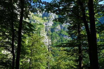 Obraz premium Vertical rock wall bellow Komarča in Julian alps, Slovenia