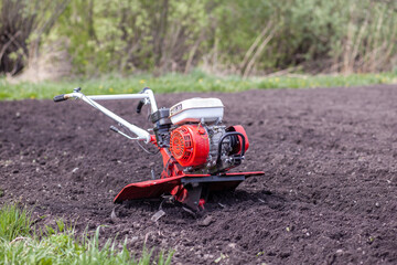 Red cultivator cultivates a vegetable garden for planting vegetables and potatoes. tractor motoblock works in the field at sunset. cultivates the soil.