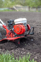 Red cultivator cultivates a vegetable garden for planting vegetables and potatoes. tractor...