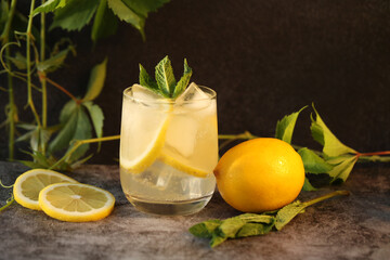 lemonade with lemon and mint