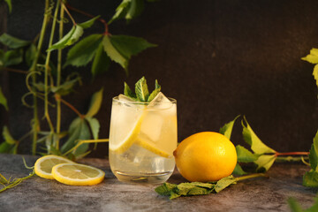 lemonade with lemon and mint