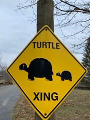 Turtle Crossing Sign against park background