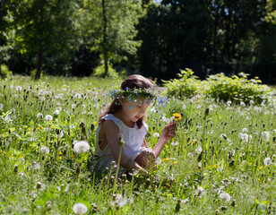 Little girl blowing on a dandelion