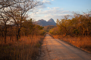 Fototapeta na wymiar Niassa Special Reserve Mozambique