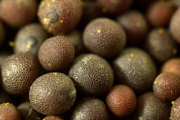 Extreme close up of mustard seeds in high magnification, India.
