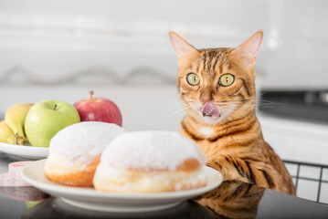 The cat licks his lips while looking at the donuts.