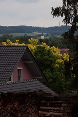Gelbe Blumen hinter Gebäude