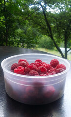Raspberry fruit in a plastic bowl on the table