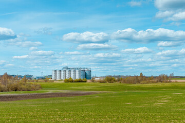 Fototapeta na wymiar Silver silos on agro manufacturing plant for processing drying cleaning and storage of agricultural products, flour, cereals and grain.Beautiful summer blue sky,clouds,green meadow landscape.