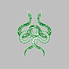 vector illustration of two green snakes