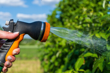 Hand holding a watering hose. Watering a plants gardening care concep.