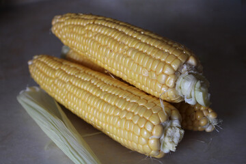 Close-up of corn on the counter