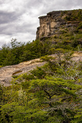 Water
Cascade
South of Chile
Puerto Natales
Patagonia
Torres del paine
Naturleza
Nature
Glazier
Glass
Glasiar