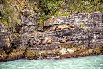 Water
Cascade
South of Chile
Puerto Natales
Patagonia
Torres del paine
Naturleza
Nature
Glazier
Glass
Glasiar