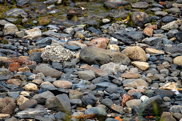Water
Cascade
South of Chile
Puerto Natales
Patagonia
Torres del paine
Naturleza
Nature
Glazier
Glass
Glasiar
