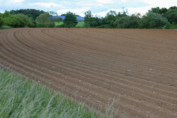 plowed field in the spring
