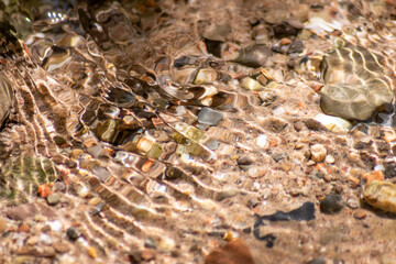 Stones in sparkling water with sunny reflections in water of a crystal clear water creek as idyllic natural background shows zen meditation, little waves and silky ripples in a healthy mountain spring