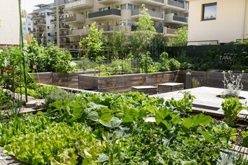 Urban farming: community garden in the city as sustainable living - obrazy, fototapety, plakaty