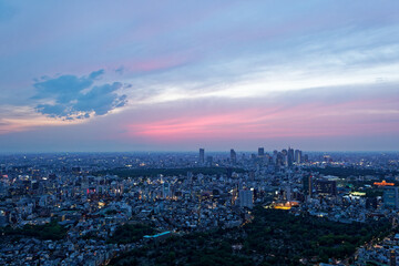 Fototapeta na wymiar 東京の夕景 2010年