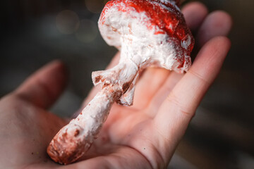 Amanita muscaria made of cotton wool in his hands on blurred background. retro handmade Christmas toys