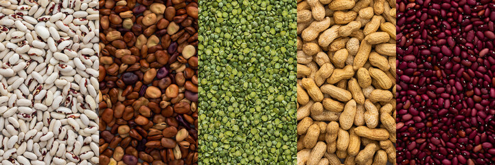 Different types of legumes banner, green peas and peanuts, red, white and brown beans, top view