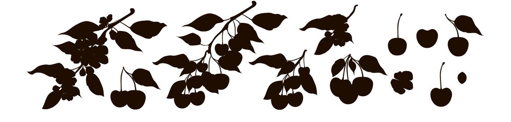 Silhouette cherry set in black. Cherry berries, a bunch of cherries, a flowering branch and a branch with a cherry. Fruit. Stock vector illustration isolated on a white background