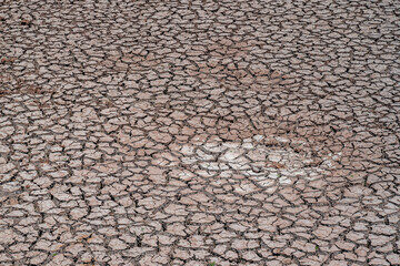 Photograph of dry, cracked soil texture due to lack of water
