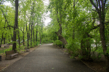 path in the park