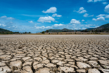 Fototapeta premium Landscape photography of the cracks in the bottom of a dry lake in the background of a house and the blue sky at noon