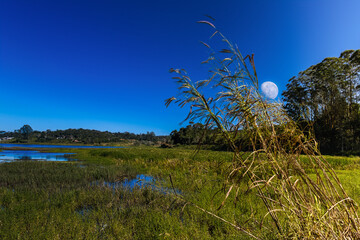 Por da Lua em Taia&ccedil;upeba