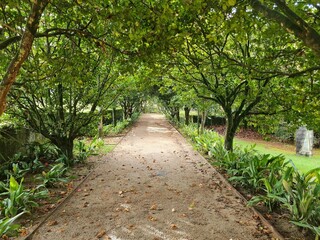 footpath in the park