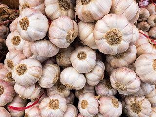 Bunches Of Garlic At Gordes