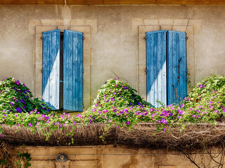 Windows Of Provence In Arles