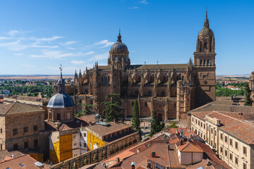Obraz premium Cathedral of the city of Salamanca, in Spain.