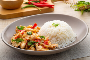 Fototapeta na wymiar Cooked rice with stir-fried sliced chicken breast and basil.Thai food