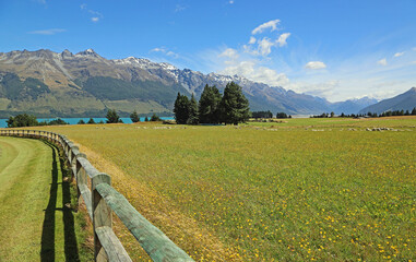 Fence and pasture - New Zealand