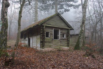 Side and front of abandoned cabin in the woods with an old wooden shed in the background on a fall day in the Palatinate forest of Germany. © Kari