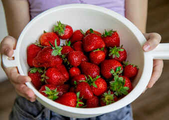 The hands of a young girl hold a white basket with juicy, fragrant, fresh, red strawberries, close-up. Delicious berry, vitamins, seasonal fruits, healthy food