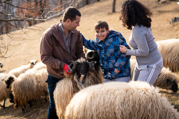 A horizontal view of a shepherd holding a lamb with a flock of sheep standing in the foreground in...