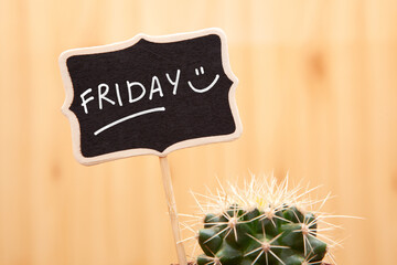 Friday - text with happy face smile on backboard and cactus, weekends after work concept