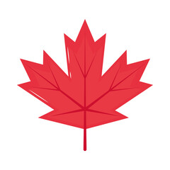 maple leaf icon